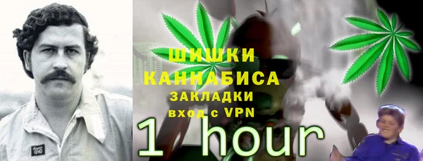 дживик Абаза