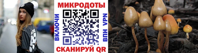 Псилоцибиновые грибы мухоморы  Устюжна 